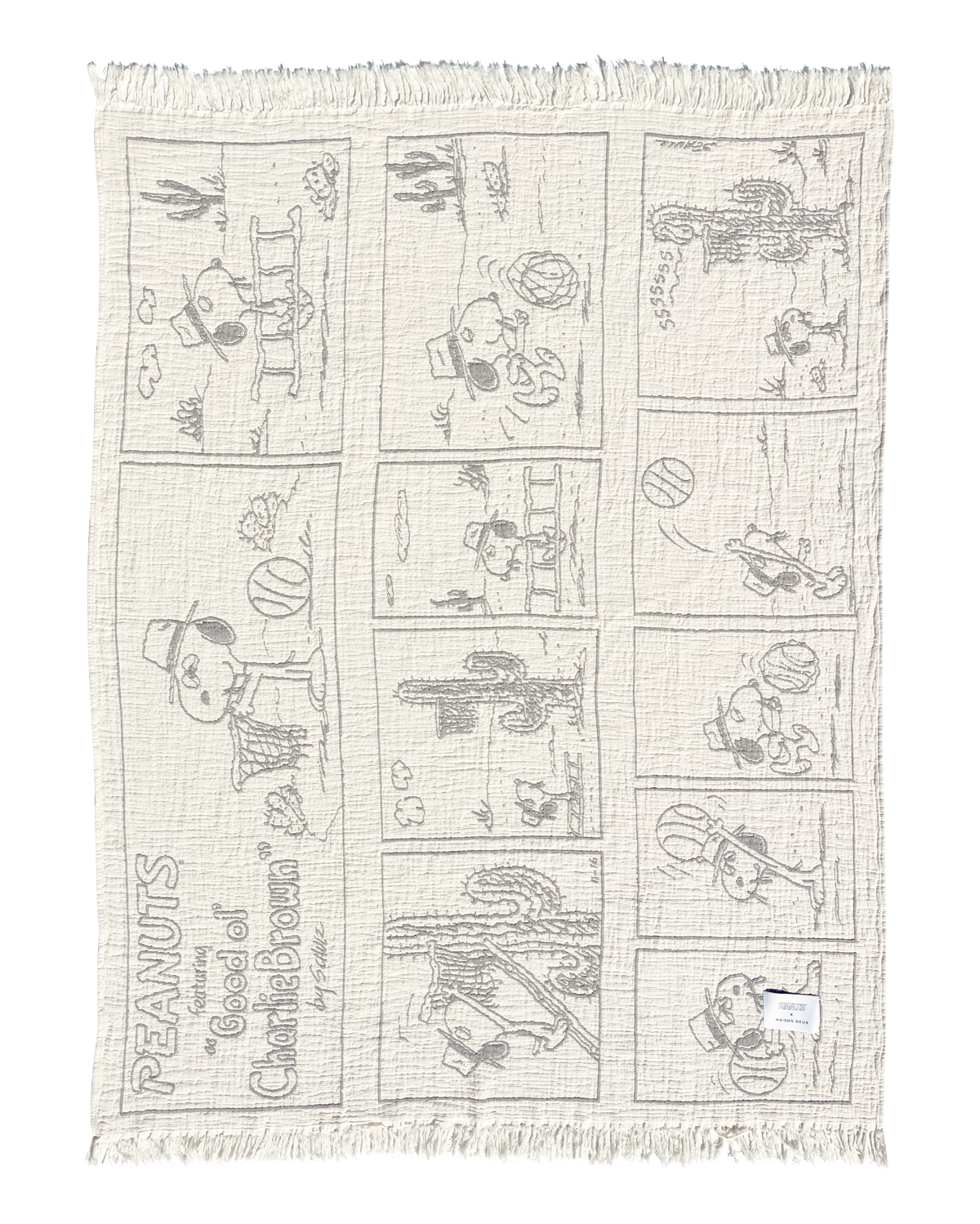 Peanuts Blanket Comic Desssert