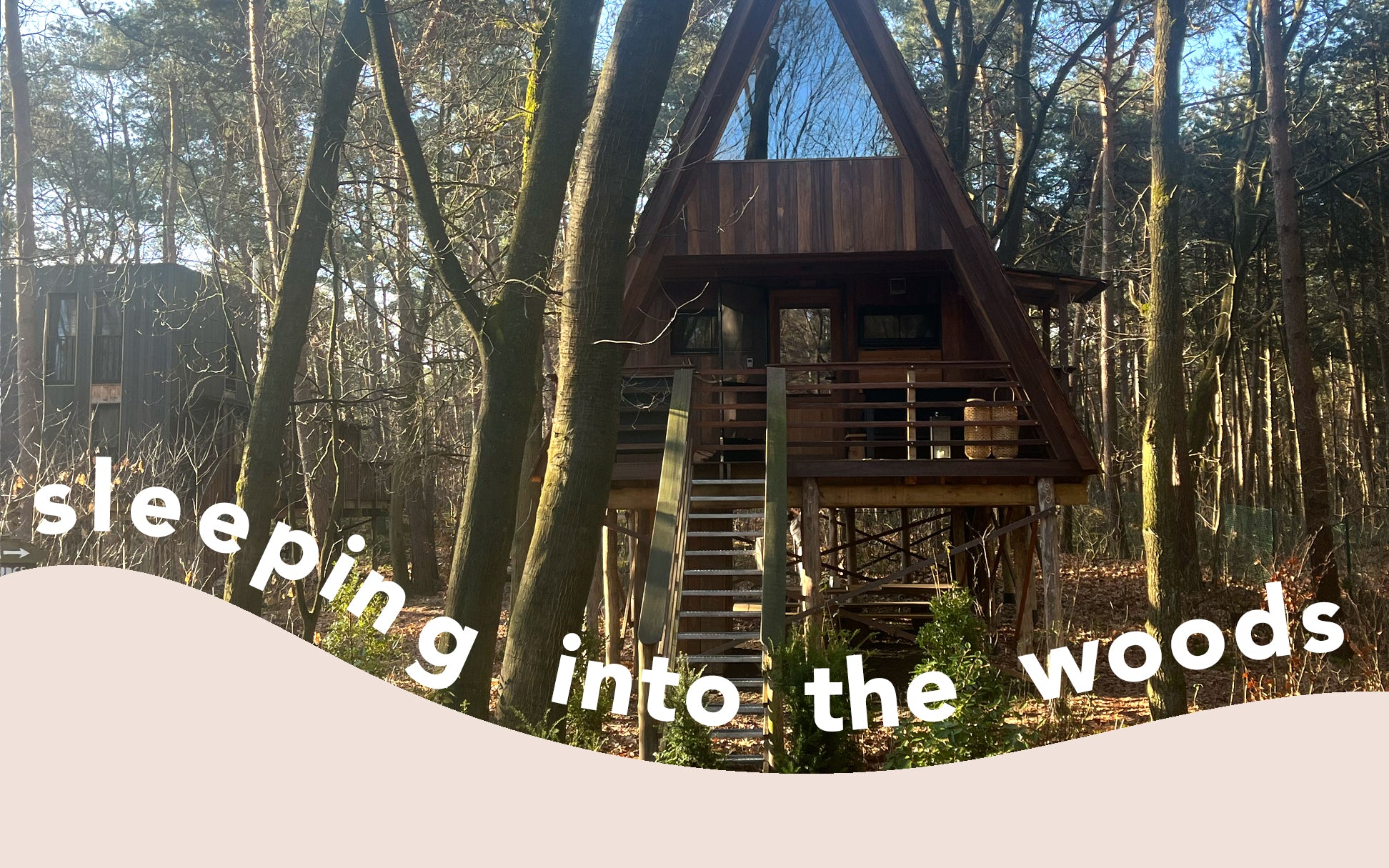 Best Treehouse Belgium