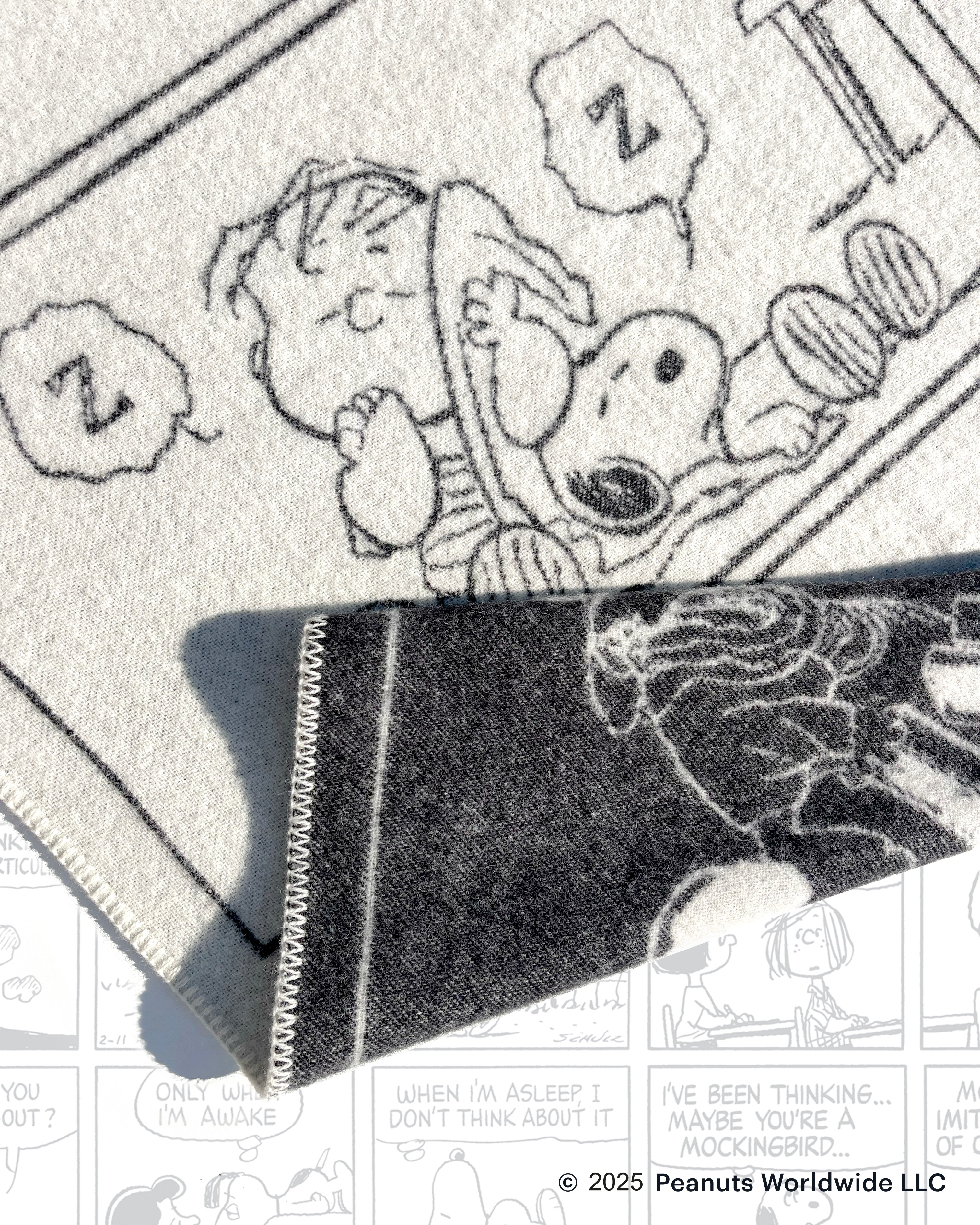 Peanuts Blanket Comic ZZZ – Maison Deux
