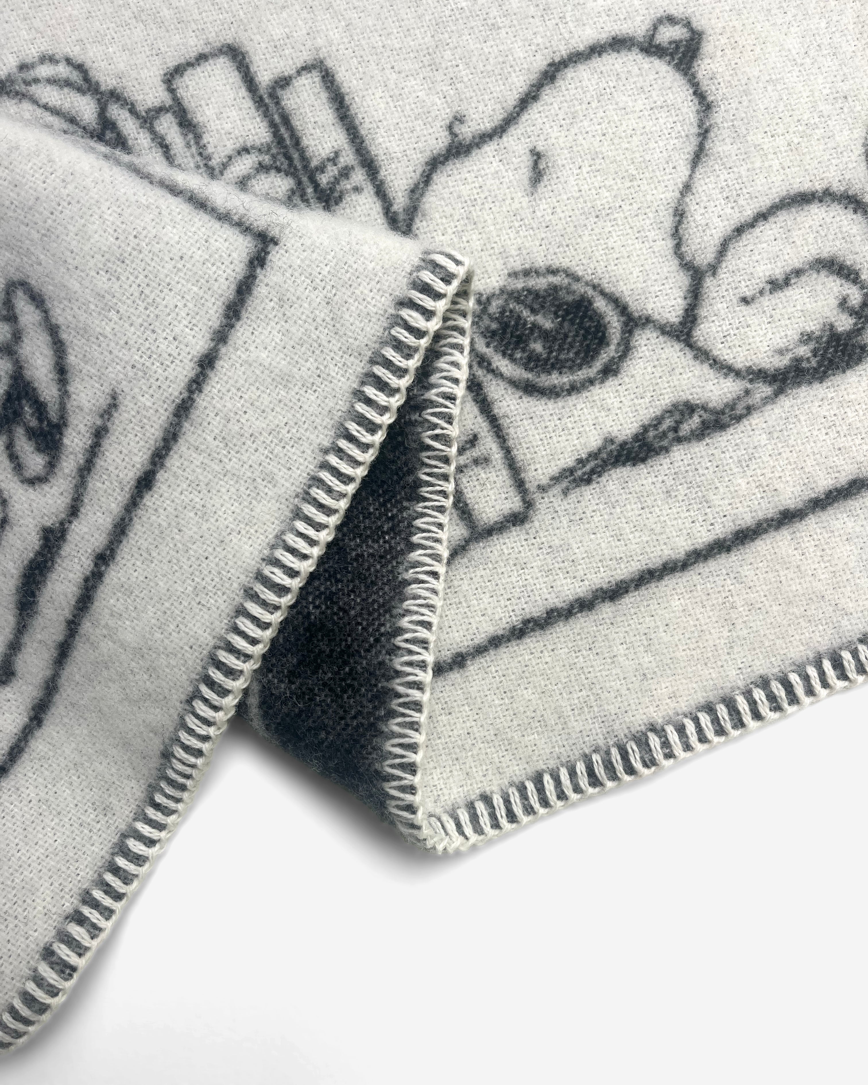 Peanuts Blanket Comic ZZZ