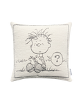 Peanuts Kussenhoes Zeppelin