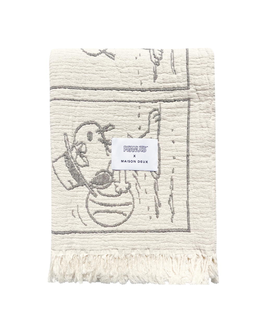 Peanuts Blanket Comic Desssert