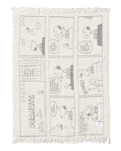 Peanuts Blanket Comic Flightschool
