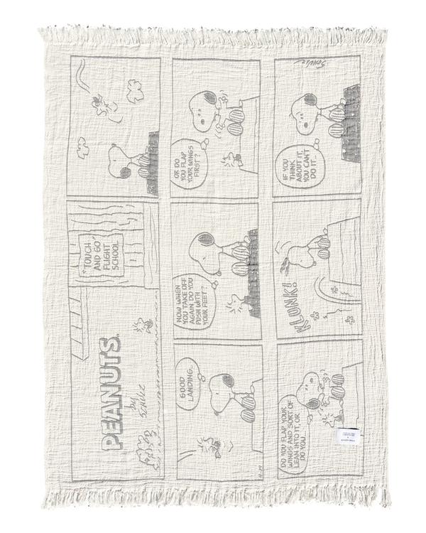 Peanuts Blanket Comic Flightschool