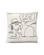 Peanuts Kussenhoes Steen