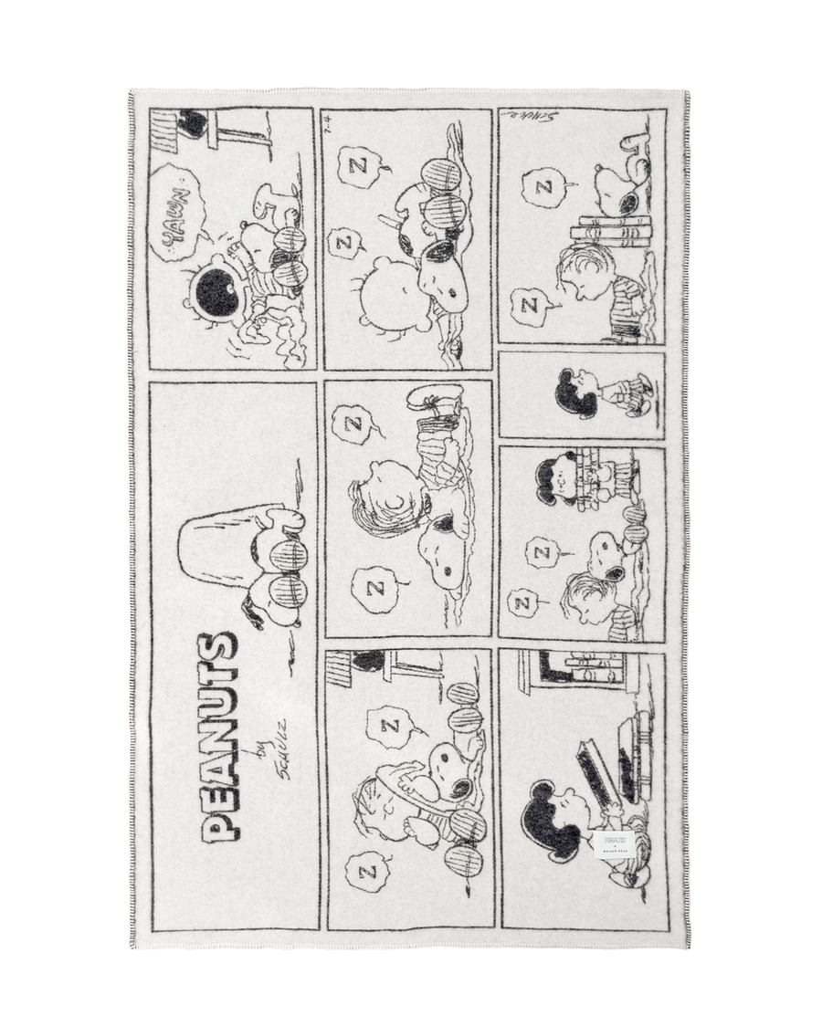 Plaid Peanuts Comic ZZZ