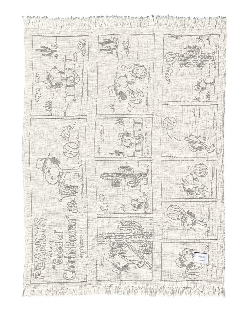 Peanuts Blanket Comic Desssert