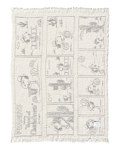 Peanuts Blanket Comic Desssert