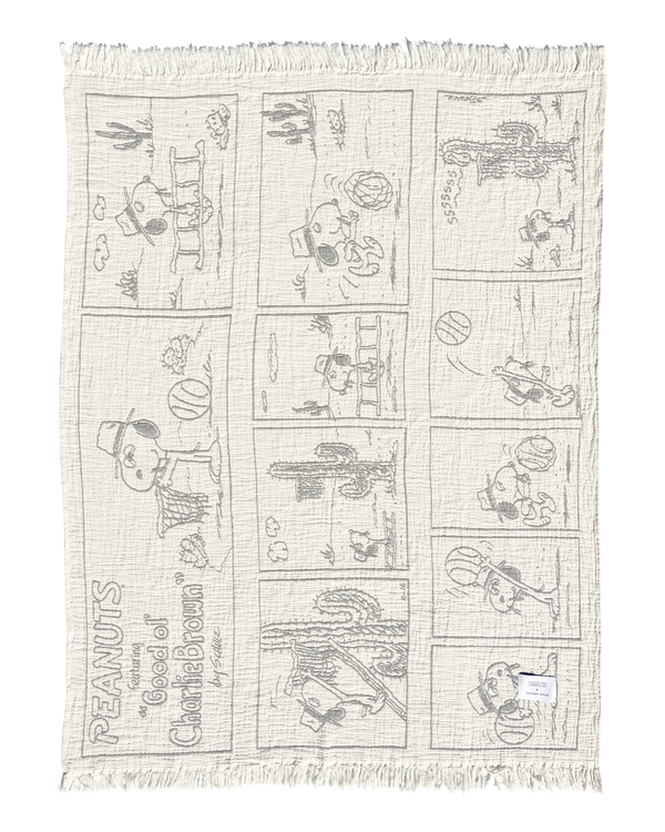 Peanuts Blanket Comic Desssert
